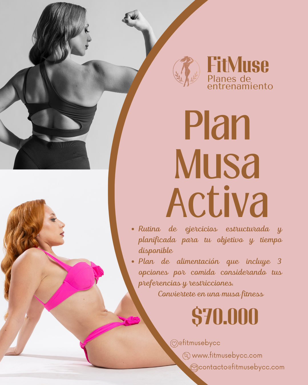 Plan Musa Activa