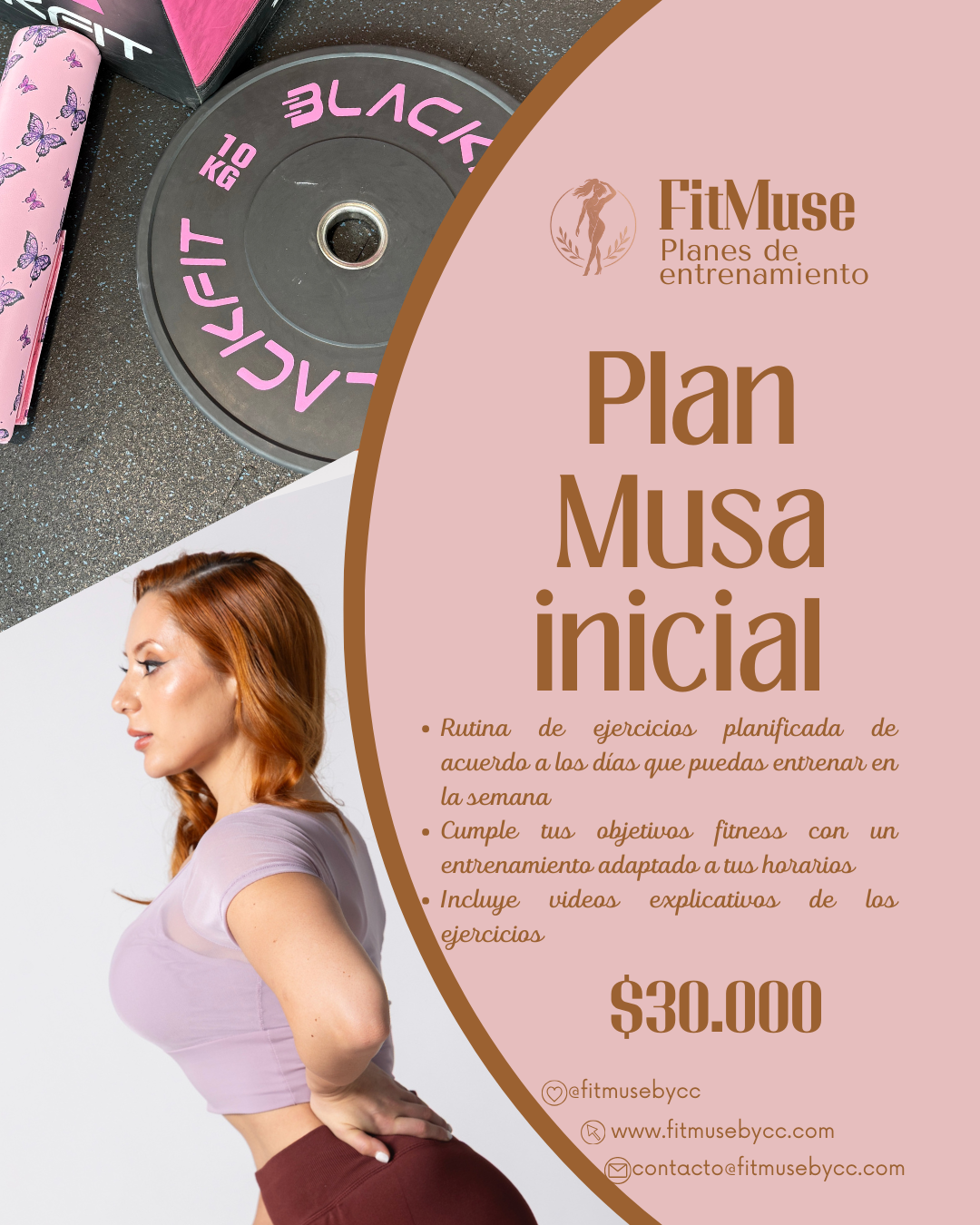 Plan Musa inicial
